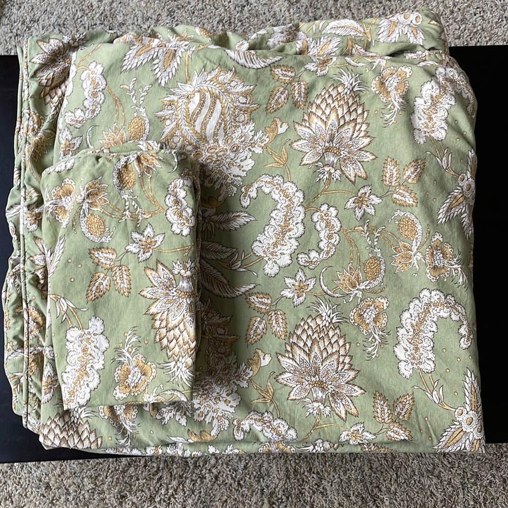 Pottery barn green paisley print king duvet cover with two Euro size shams.